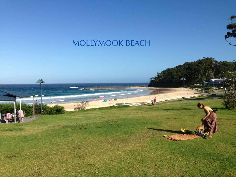 Beach House Mollymook Motel Exterior foto